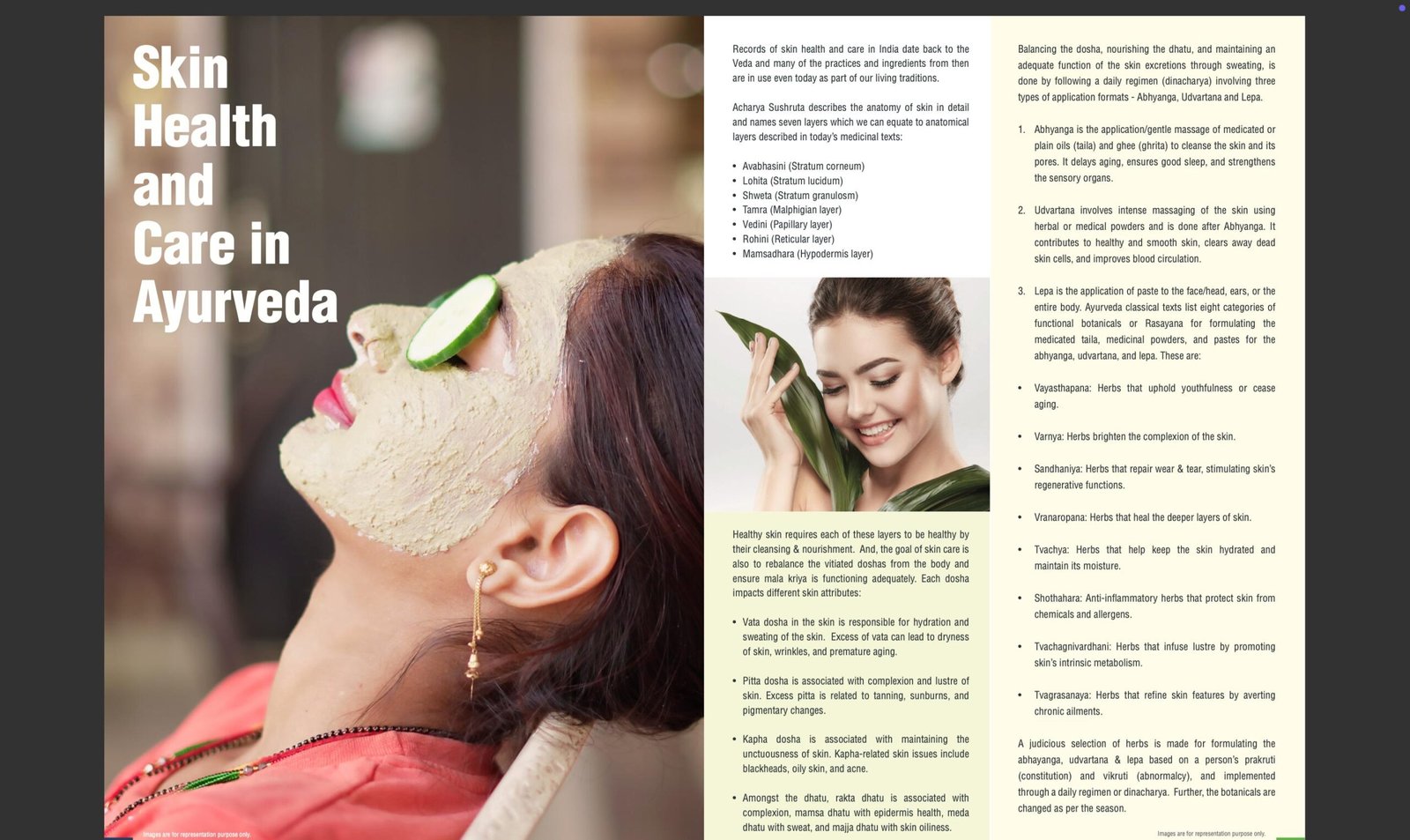 WhatsApp Image 2025-09-20 at 10.05.38 AM (1)